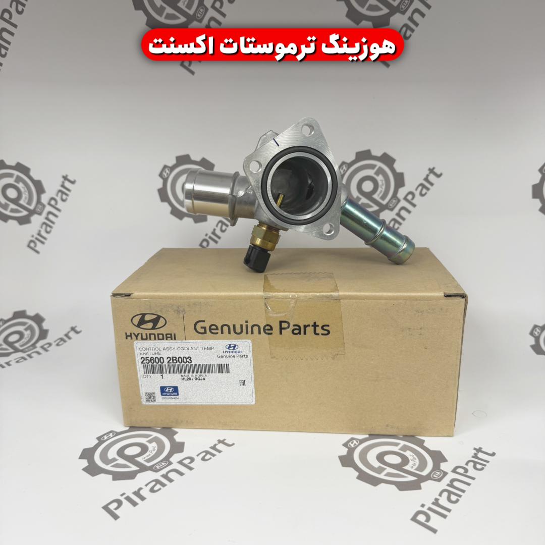 هوزینگ ترموستات اکسنت