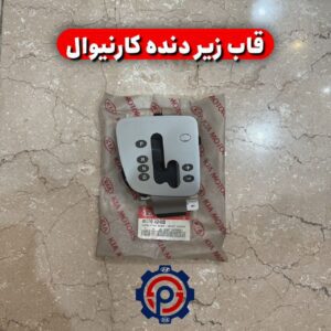 قاب زیر دنده کارنیوال